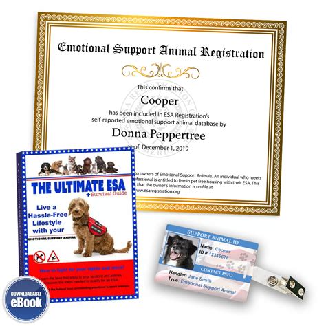 Legitimate emotional support animal registration - May 12, 2023 · Often referred to as an ESA documentation letter, this letter is all you need to obtain an emotional support animal and to exercise your rights. While emotional support animals do not have the same federally protected rights as service dogs regarding access to public areas otherwise off-limits to pets, there are a few protections. 